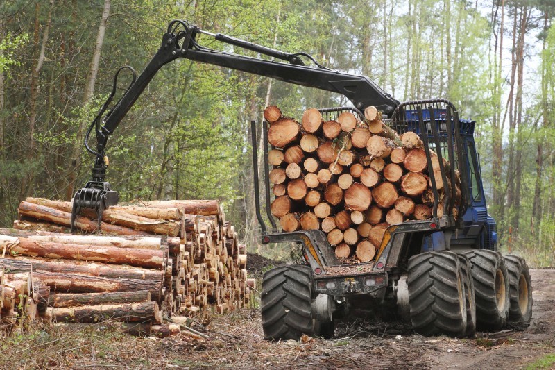 Резултат слика за drvopreradjivaci
