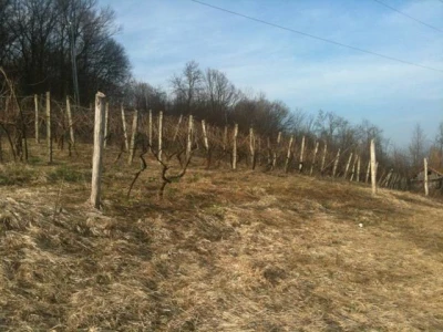 Kumrovec, zemljište 21000m2