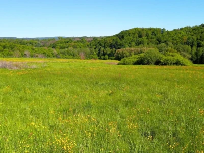 Poljoprivredno imanje 45.000 ili 60.000 m2 sa gradevinskim dijelom, sumom, bunarom i potokom