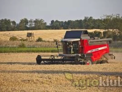 Kombajn Massey Ferguson MF 7347 S
