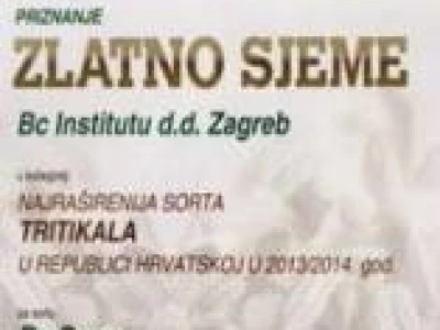 Ozimi tritikale BC GORAN