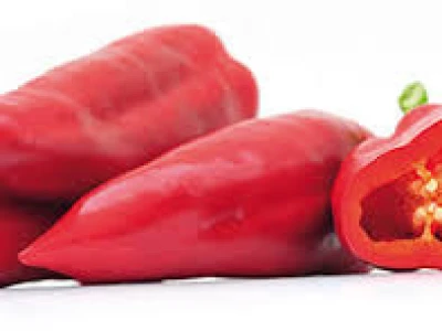 Paprika Kaptur F1 1.000 sj.