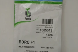 Cikla BORO F1 500 sjemenki