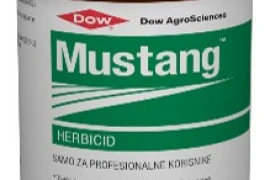 Mustang
