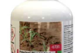 Principal Plus 66,5 WG