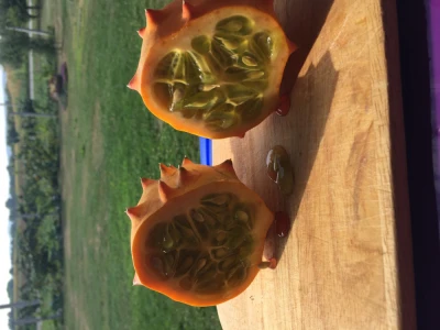 Kiwano/Horned Melom