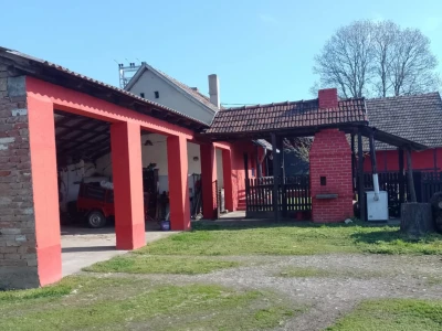 BARANJA - Zasad lješnjaka (1,4 ha) sa sustavom navodnjavanja i kućom