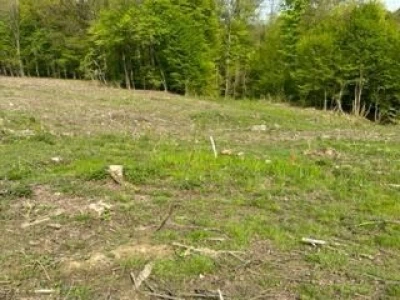 60000m2 poljoprivrednog zemljišta + šuma+Kuća