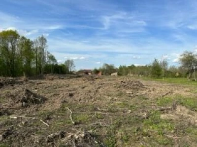 60000m2 poljoprivrednog zemljišta + šuma+Kuća