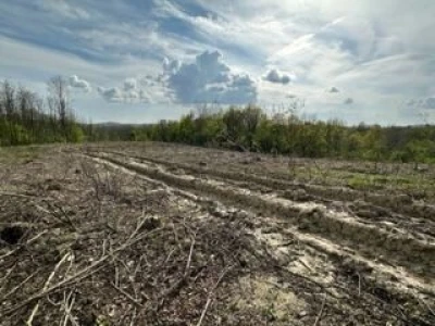 60000m2 poljoprivrednog zemljišta + šuma+Kuća