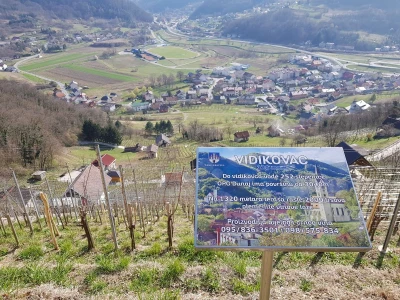 Prodajemo bijelo vino vrhunske kvalitete