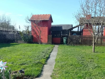 BARANJA - Zasad lješnjaka (1,4 ha) sa sustavom navodnjavanja i kućom