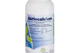 AKTIVCALCIUM 1/1