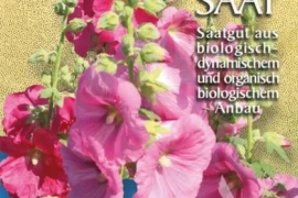 SLJEZ VRTNI Alcea rosea ROZI