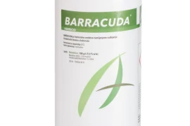BARRACUDA 1/1