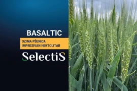 BASALTIC - ozima pšenica
