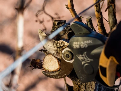 Baterijske škare za rezidbu voćnjaka, vinograda, parkova i nasada model KIT SHARK ZS-50
