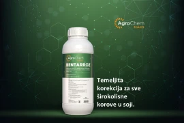BENTARROZ
