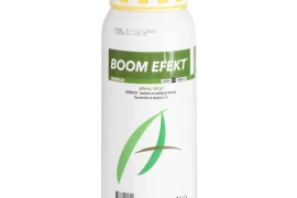 BOOM EFEKT 1/1