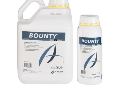 BOUNTY 1/1