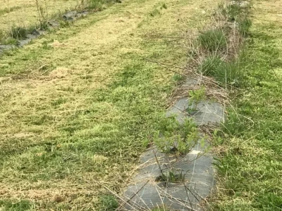 Bratina (ZG Županija)