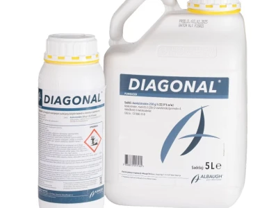 DIAGONAL 5/1