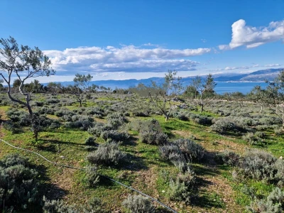 Donji Humac, zemljište za izgradnju OPG-a, 12555 m2, pogled
