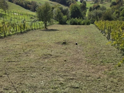 Zemljište 1.159 m2 - Pregrada