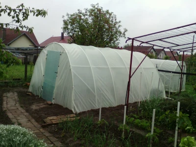 Plastenik