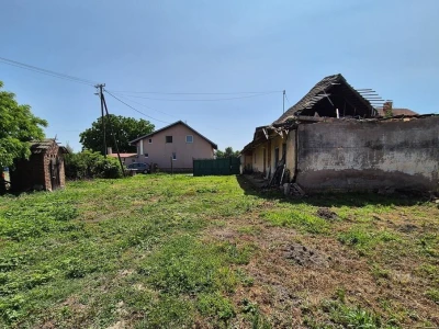 Imanje s nasadom mladih oraha u građevinskoj zoni 6.087 m2 - Tenja