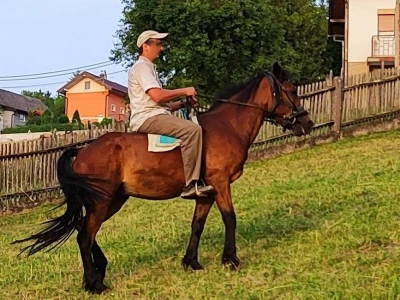 kastrat