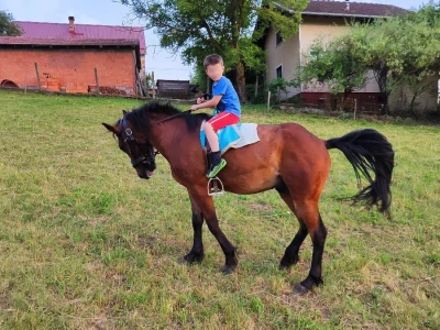 kastrat