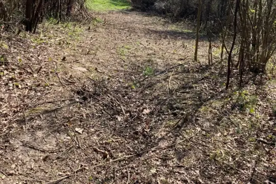 Dubranec, voćnjak 1.600m2