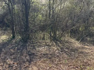 Dubranec, voćnjak 1.600m2
