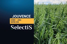 JOUVENCE - ozimo-jara zob