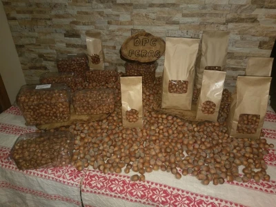 Lješnjaci
