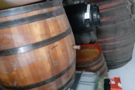 Ljuta rakija