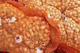Ljutika Golden Gourmet 500 g
