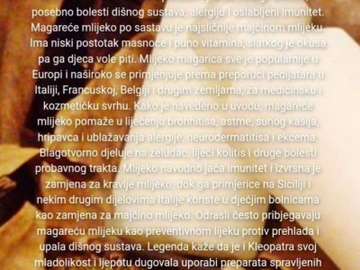 Magareće mlijeko