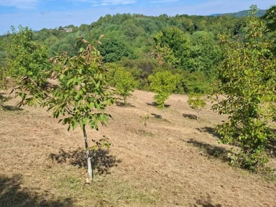 Ozaljski Fratrovci - Poljeprivredno zemljište