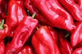 Paprika DULCE ITALIANO