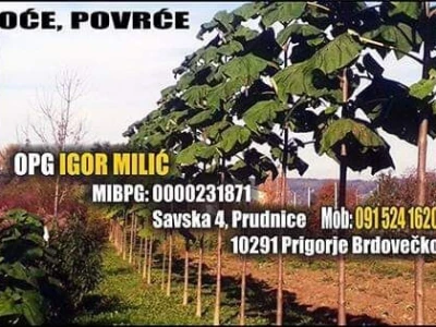 Paulovnije tri vrste