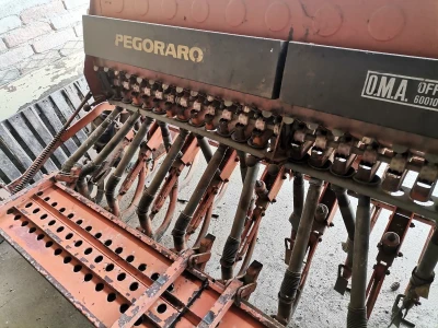 Pegoraro sijacica