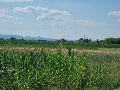 Poljoprivedno zemljište 1.812 m2 - Strmec