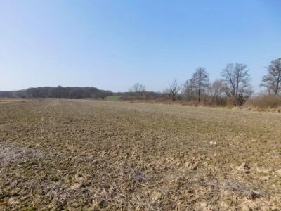 Poljoprivredno zemljište 13.828 m2 - Rakovec
