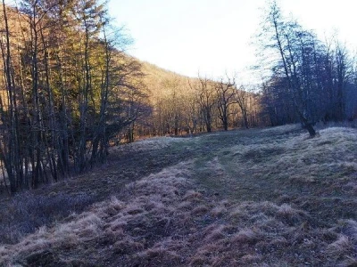 Poljoprivredno zemljište - Klana
