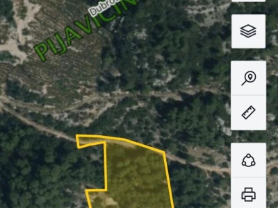 Poljoprivredno zemljište 4500m2 DINGAČ do mora