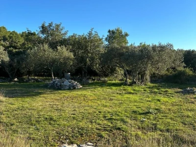 Poljoprivredno zemljište 930 m2 - Prihonja (blizina Vele Luke)