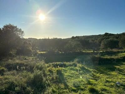 Poljoprivredno zemljište 930 m2 - Prihonja (blizina Vele Luke)