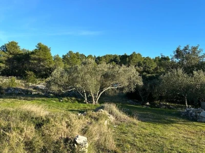 Poljoprivredno zemljište 930 m2 - Prihonja (blizina Vele Luke)